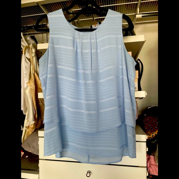 Blue shell - Picture 1 of 4